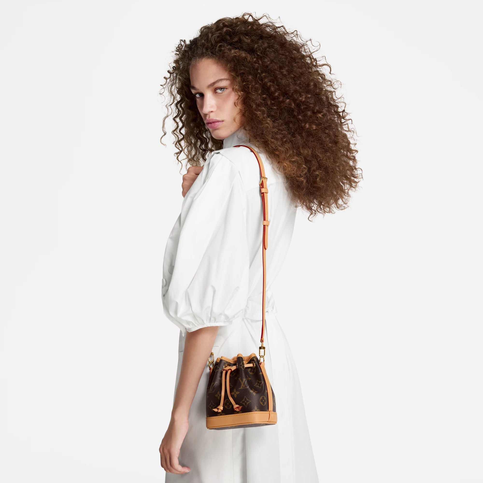 Nano Noé Monogram Coated Canvas Gold-Toned Hardware