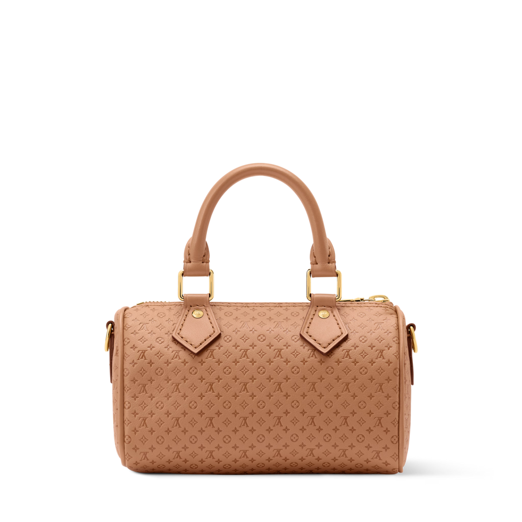 Nano Speedy Calfskin Leather Hazelnut Gold-Toned Hardware