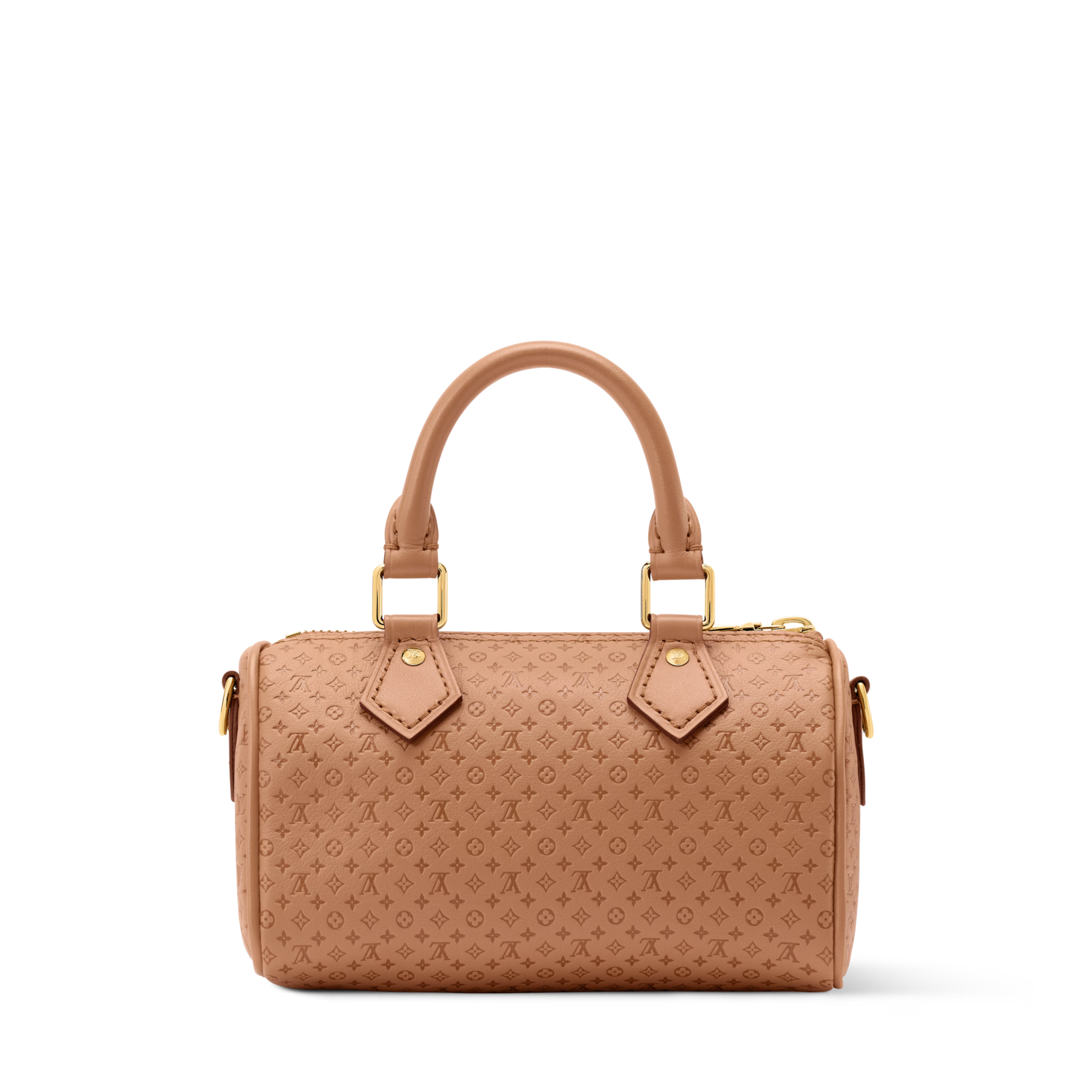 Nano Speedy Calfskin Leather Hazelnut Gold-Toned Hardware