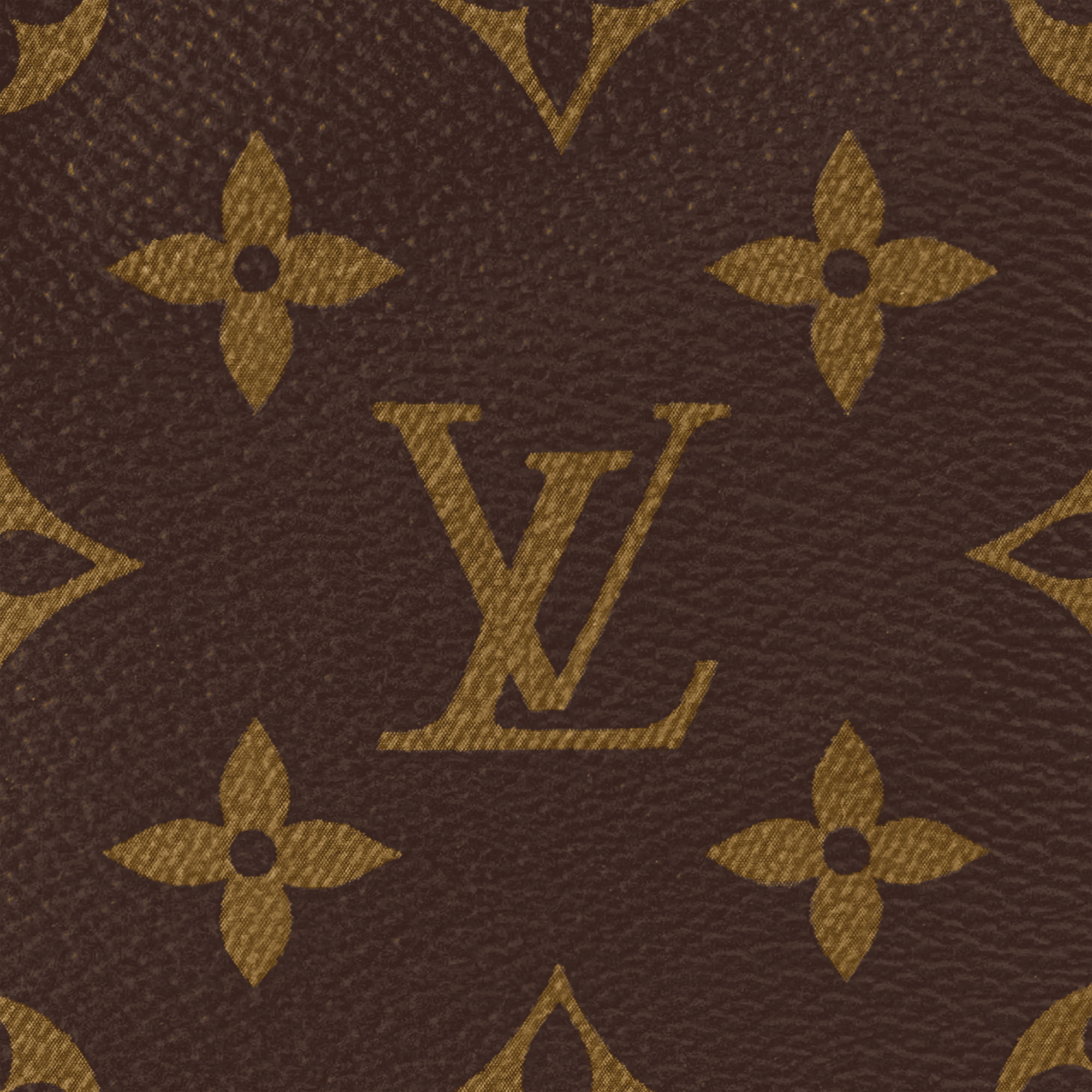 Petit Noé Monogram Coated Canvas Gold-Toned Hardware